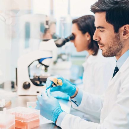 Des ingénieurs dans un laboratoire